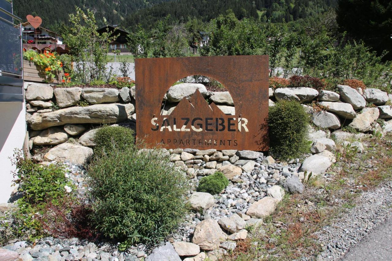 Salzgeber Appartements Sankt Gallenkirch Exterior foto